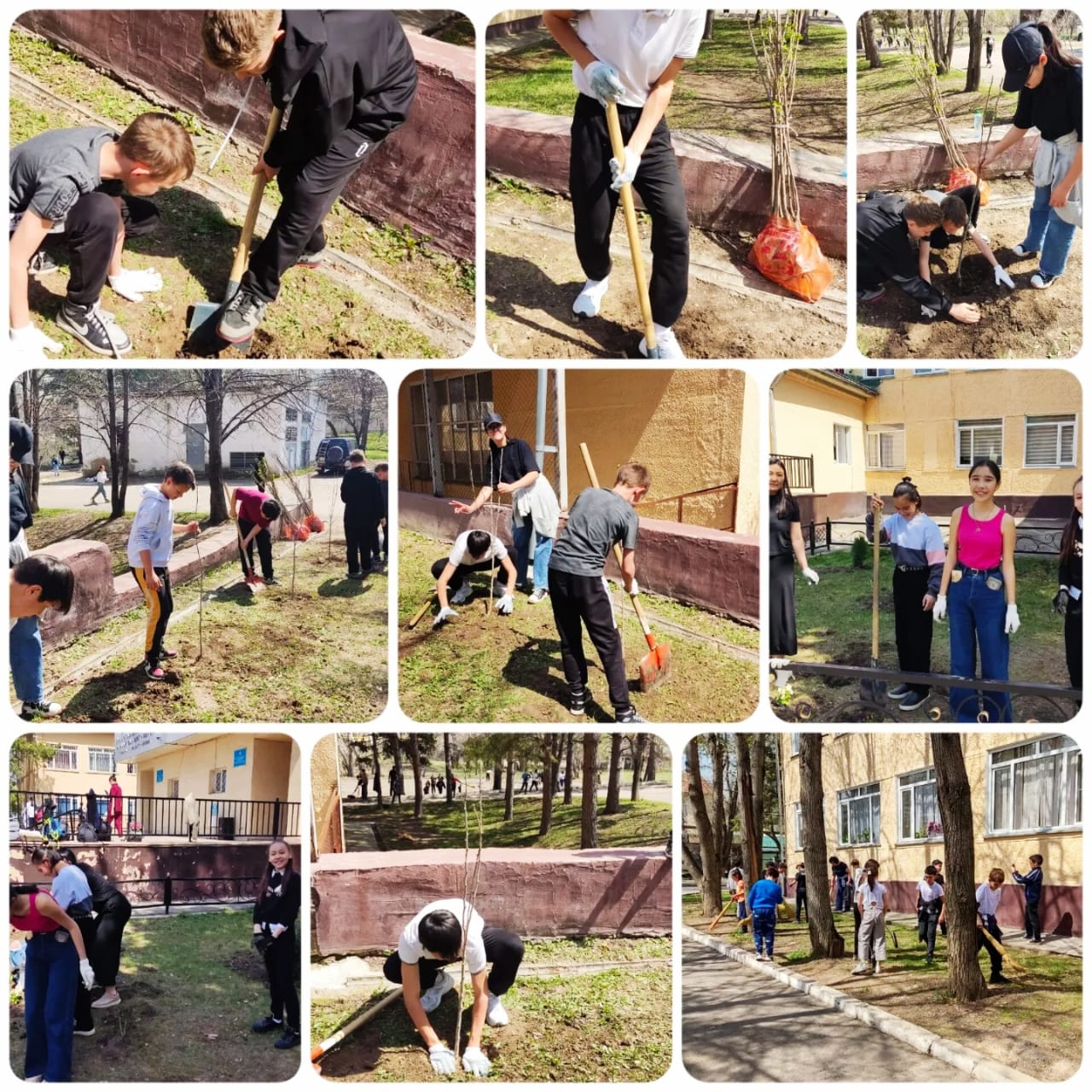 Экологиялық акция "Құстарға ұя салайық", "Мектеп ауласын көгалдандыру"